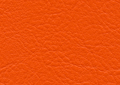 ƒJƒvƒ`[ƒm@CP-42
