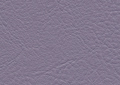 ƒJƒvƒ`[ƒm@CP-150