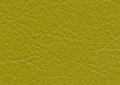 ƒJƒvƒ`[ƒm@CP-444