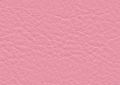 ƒJƒvƒ`[ƒm@CP-509